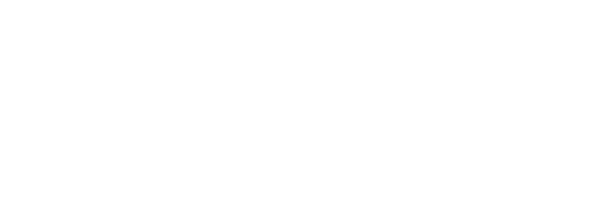 prodigital-logo-beli